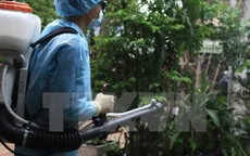 Nhiều điểm nóng chực chờ bùng phát dịch Zika tại TP.HCM