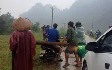 Lâm tặc lộng hành tấn công kiểm lâm ở Quảng Bình
