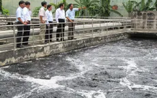 Không cấp phép ngành nghề gây ô nhiễm môi trường trong KCN Cát Lái
