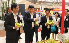Chuối Việt Nam chính thức vào siêu thị Aeon