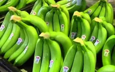 Chuối Việt Nam lần đầu vào thị trường Nhật Bản