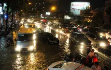 TP.HCM: Mưa lớn gây ngập lụt nghiêm trọng, cây xanh bật gốc đè vào ô tô