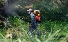 Virus Zika lây lan nhanh ở Colombia
