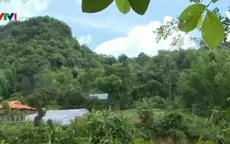 Quản lý, bảo vệ rừng tận gốc dựa vào cộng đồng