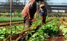 Cuba áp mức giá trần cho lương thực, thực phẩm