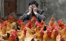 Hai người tử vong vì cúm gia cầm H7N9 tại Trung Quốc
