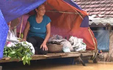 Các hãng hàng không vận chuyển miễn phí hàng cứu trợ