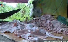 Tiêu hủy hơn 1 tấn da heo ngâm hóa chất tại Long An