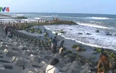 Đẹp mê hồn bãi đá rêu xanh làng biển Phú Yên