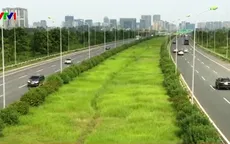 Dừng chi tiền, cỏ mọc um tùm trên các tuyến phố Thủ đô