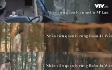 Đình chỉ 2 cán bộ quản lý bảo vệ rừng Đăk Lăk nhận tiền mãi lộ