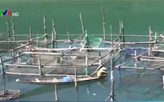 TT-Huế rà soát đối tượng hỗ trợ do sự cố môi trường trên biển