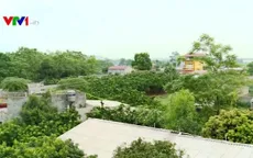 Bắc Giang: Hệ lụy hơn 20 năm từ mua bán đất ruộng trái phép