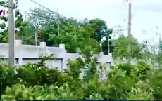 Nghi vấn bán đất Hợp tác xã tại Bà Rịa - Vũng Tàu