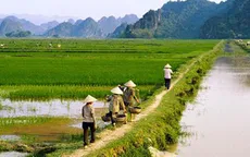 Tiếp tục miễn giảm thuế sử dụng đất nông nghiệp