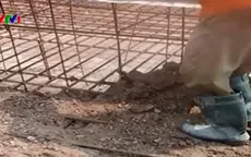 Lấy mẫu kiểm định móng cột điện cao thế trộn... đất