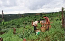 Đắk Nông thiếu vốn di dời 50.000 dân khi đóng cửa rừng