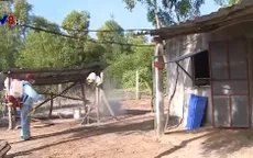 Ninh Thuận tăng cường phòng chống sốt xuất huyết và Zika