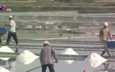 Chậm thu mua tạm trữ muối: Diêm dân gặp khó trong mùa mưa