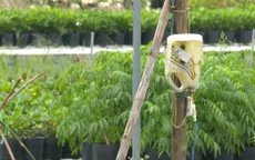 Đồng Tháp khuyến cáo cẩn trọng sử dụng điện trong mùa mưa bão