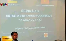 Việt Nam - Mozambique hợp tác phát triển cây điều