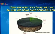 ĐBSCL thiệt hại trên 200 tỷ đồng do hạn, mặn