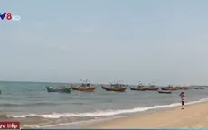 Giới khoa học khẳng định vệt nước đỏ ở vùng biển Quảng Bình là thủy triều đỏ