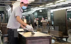 Đàm phán Việt Nam - EU về quản trị rừng, đảm bảo gỗ hợp pháp