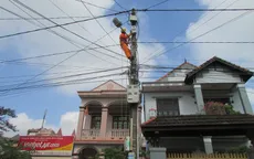 Quảng Trị: Nhân rộng công nghệ đọc chỉ số công tơ điện RF - Spider