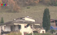 Nghề nuôi lợn chất lượng cao tại Italy bị ảnh hưởng bởi động đất