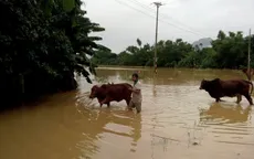 Hơn 4.000 hộ dân Quảng Bình ngập chìm trong lũ