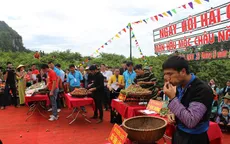 Độc đáo Ngày hội hái mận Mộc Châu