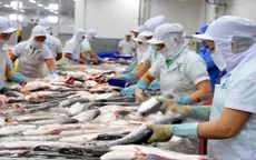Cá tra Việt "đổ bộ" mạnh vào thị trường Thái Lan