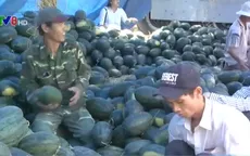 Cuối vụ, giá dưa hấu tăng cao