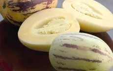 Đà Lạt: Dưa 90.000 đồng/kg hút khách