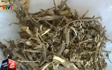 Chữa bệnh bằng dược liệu: Người dùng chi tiền triệu chỉ để mua niềm tin?