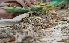 Nhập khẩu khoảng 70% dược liệu Trung Quốc