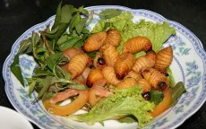 Đuông dừa miền Tây bày bán tràn lan tại TP.HCM