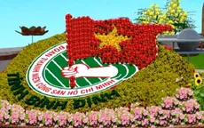 Đường hoa Tết Bính Thân 2016 chủ đề biển đảo tại Bình Định