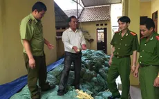 Phát hiện 22 tấn măng tẩm hóa chất độc hại tại Bắc Giang