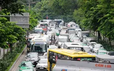 Sẽ thay hàng cây ở cửa ngõ sân bay Tân Sơn Nhất