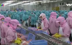 EU sẽ thanh tra toàn diện thực phẩm thủy sản nuôi