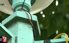 Học sinh tiểu học thiệt mạng do điện giật khi chơi ở công viên