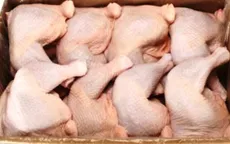 Chưa thể đưa gà Mỹ ra tòa vì... "thiếu tiền"