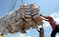 Xuất khẩu khu vực DN vốn trong nước tăng trưởng 3,9%