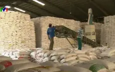 Gạo và cám gạo Việt Nam sẽ vào Trung Quốc theo đường chính ngạch