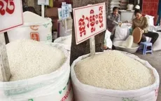 Gạo ngoại "tấn công" vựa lúa ĐBSCL bằng con đường nào?