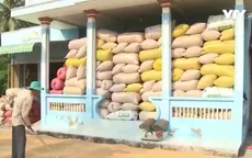 Chất lượng kém, gạo Việt đối mặt nguy cơ thua ngay trên sân nhà