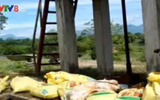 Vứt xác gia cầm bệnh xuống mương tại Quảng Ngãi