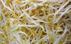 Đồng Tháp phát hiện hóa chất lạ dùng làm giá đậu